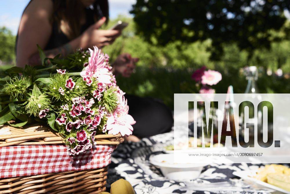 IMAGO Creative: Jahreszeit Frühling, Picknick Healthy picnic in a park in summer model released Symbolfoto IGGF00029