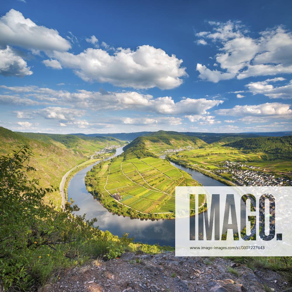 Ausblick auf die Moselschleife am Bremmer Calmont, Bremm, Moseltal, Rheinland-Pfalz, Deutschland, Europa View of the Moselle bend at Bremmer Calmont, Bremm, Moselle valley, Rhineland-Palatinate, Germany, Europe