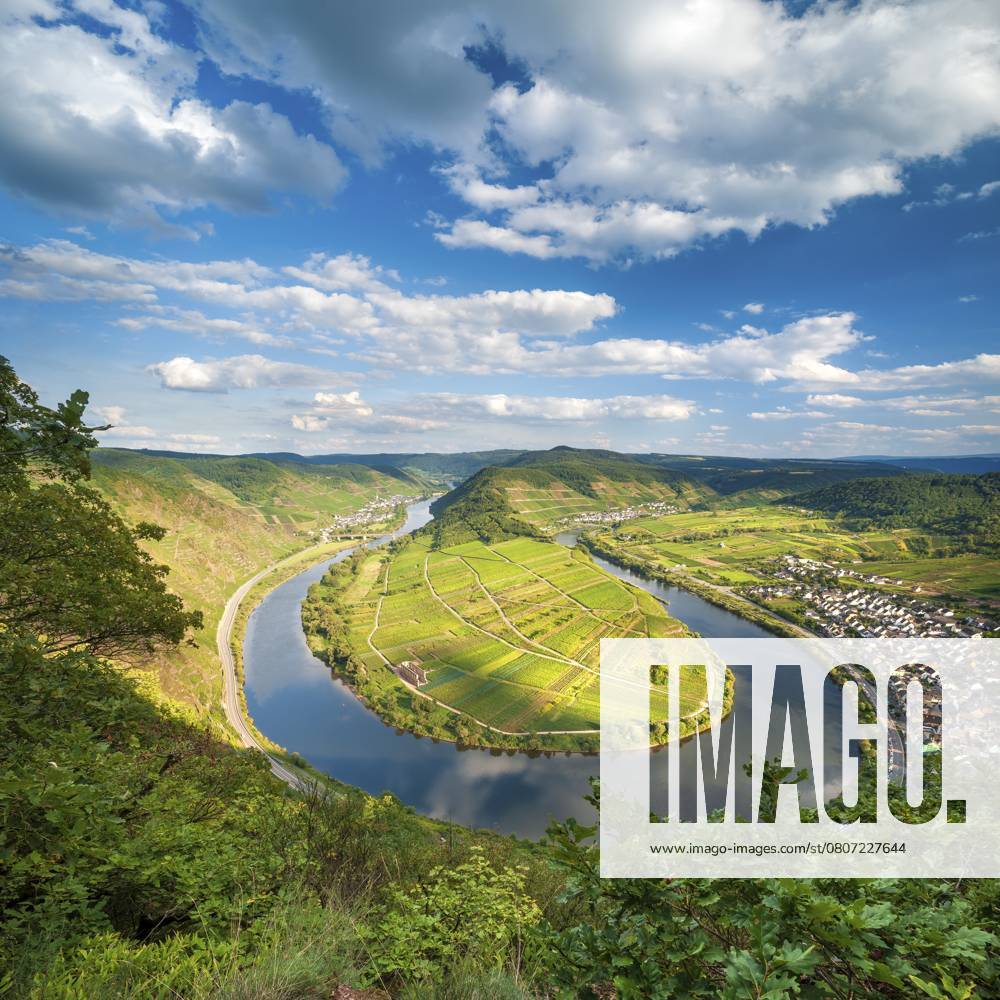 Ausblick auf die Moselschleife am Bremmer Calmont, Bremm, Moseltal, Rheinland-Pfalz, Deutschland, Europa View of the Moselle bend at Bremmer Calmont, Bremm, Moselle valley, Rhineland-Palatinate, Germany, Europe
