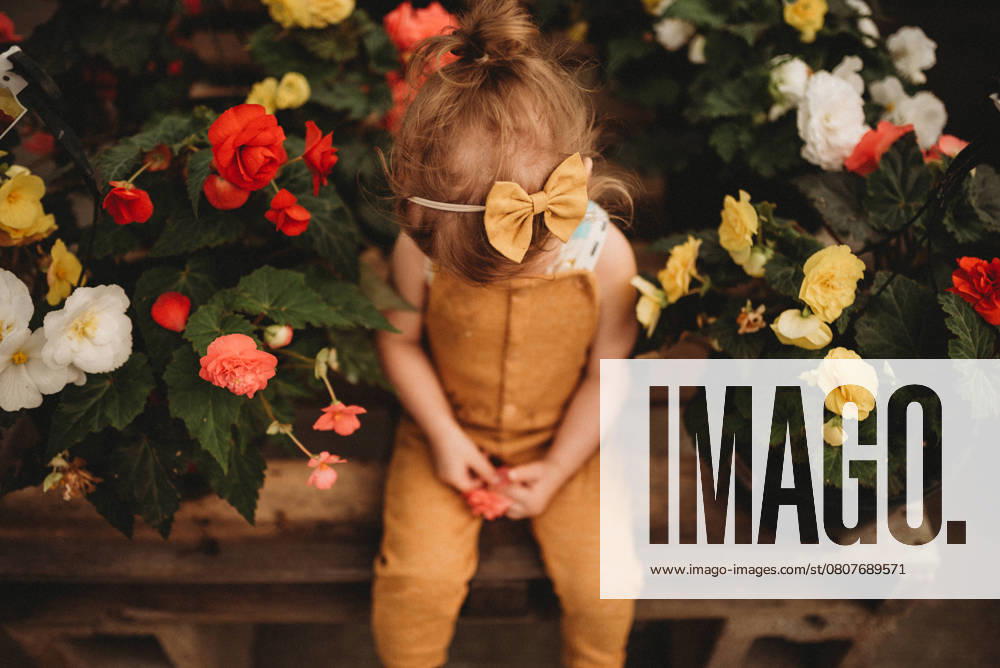 IMAGO Creative, Sommer, Sommertage im Garten little girl sitting in flowers Beckley, West Virginia, United States CR_ZVBJ250319-1686168-01 ,model released, Symbolfoto