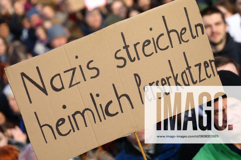 Unter dem Titel Nie wieder ist jetzt - Großdemonstration gegen den Rechtsruck in der Gesellschaft - Demoschild: Nazis streicheln heimlich Perserkatzen - Deutschland, GER, DEU, Germany, Gießen, 08.02.2025 - Protestaktion gegen rechte Tendenzen und den gesellschaftlichen Rechtsruck in weiten Teilen der Deutschen Bevölkerung. Ein weiteres aktuelles Thema war die Abstimmung von Union, FDP und AfD im Deutschen Bundestag zur Migrationsdebatte. Die Protestierenden zeigten ihren Unmut gegen den Kanzlerkandidaten der CDU Friedrich Merz auf zahlreichen Demoplakaten. Die Polizei war mit einem Großaufgebot vor Ort und sicherte die Veranstaltung. Dem Aufruf der Veranstalter sind ca. 13.000 Menschen gefolgt, die vom Berliner Platz aus nach einer A