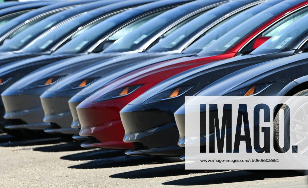 Trumps 25% Tariff On Imported Vehicles And Auto Parts To Impact Jobs And Economy EDMONTON, CANADA APRIL 2: A file picture of Tesla vehicles parked outside a Tesla dealership in Edmonton, Alberta, Canada, on April 2, 2025. U.S. President Donald Trump s administration announced a 25% tax on fully-built vehicles and essential auto parts, including engines and transmissions, which will go into effect on April 3. Edmonton Canada