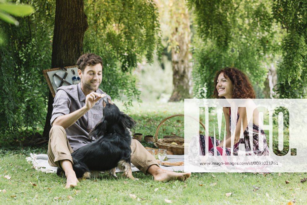 Couple with dog having a picnic in a park model released Symbolfoto property released ALBF00152