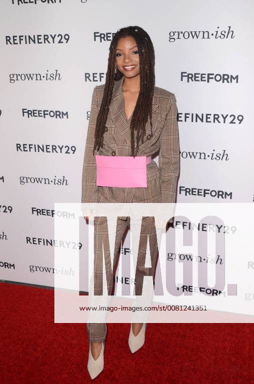 LOS ANGELES - DEC 13: Halle Bailey at the Grown-ish Premiere Screening at the Lure Nightclub on December 13, 2017 in Hollywood, CA
