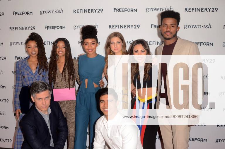 LOS ANGELES - DEC 13: Cast at the Grown-ish Premiere Screening at the Lure Nightclub on December 13, 2017 in Hollywood, CA