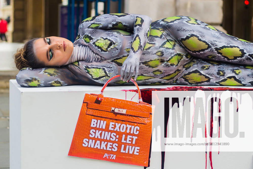 PETA targets exotic skins at London Fashion Week London September 17, 2021 Bodypainted as a snake on a bloody surface, The Only Way Is Essex star Chloe Ross helped PETA cause a stir on the first day of London Fashion Week. Ross held a handbag-shaped sign with the message Bin Snakeskin: Let Snakes Live. The action aims to urge designers and fashionistas to ditch cruelly produced items made from the skins of exotic animals. September 17, 2021 at Somerset House, Strand, London, England, UK.