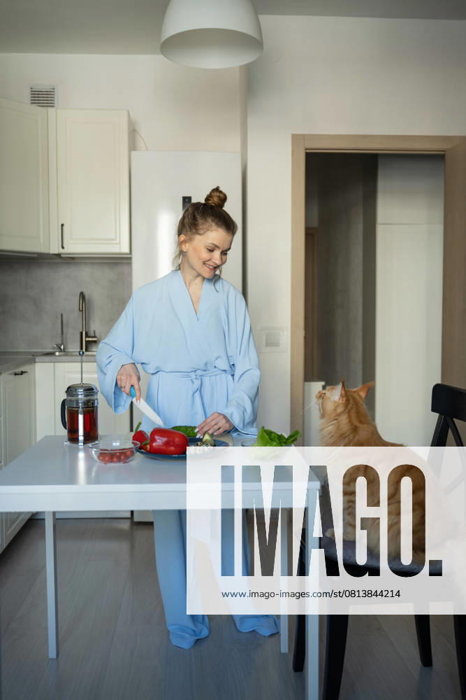 MR_ID27929_20617_TatyanaRangulova.jpg, PR_ID27929_10891_Cat.jpg, PR_ID27929_10892_Room.jpg A woman in a blue robe smiles while chopping vegetables in a modern kitchen. Her orange cat attentively watches from a chair, creating a cozy domestic scene., Property released Model Released LiliyaSolopova_ID27929_802057_003