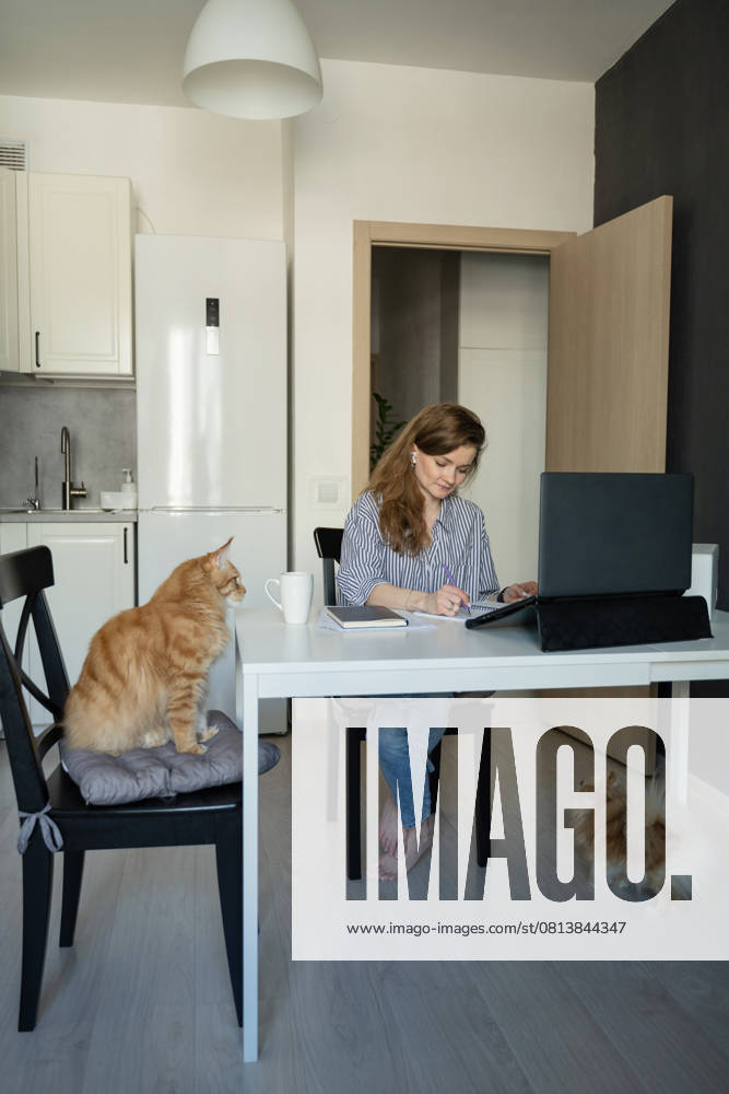 MR_ID27929_20617_TatyanaRangulova.jpg, PR_ID27929_10891_Cat.jpg, PR_ID27929_10892_Room.jpg A woman works from home, writing notes at a table with her laptop. A ginger cat sits nearby, and a dog is on the floor. The modern kitchen creates a cozy ambiance., Property released Model Released LiliyaSolopova_ID27929_802073_015