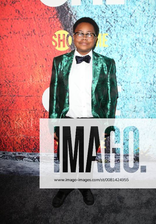 LOS ANGELES, CA - January 3: Shamon Brown, at 29th Premiere Of Showtime s The Chi at The Downtown Independent in Los Angeles, California on January 3, 2018.