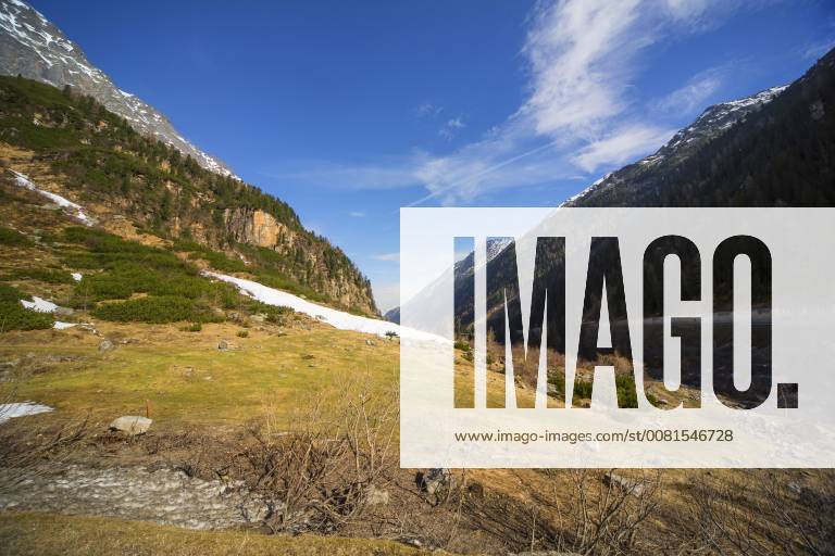 Bartgeier, Bart-Geier, Laemmergeier, Laemmer-Geier (Gypaetus barbatus), Brutgebiet des Bartgeiers, Oesterreich, Tirol, Osttirol, Matrei Lammergeier, Bearded Vulture (Gypaetus barbatus), breeding habitat, Austria, Tyrol, Eastern Tyrol, Matrei BLWS471267