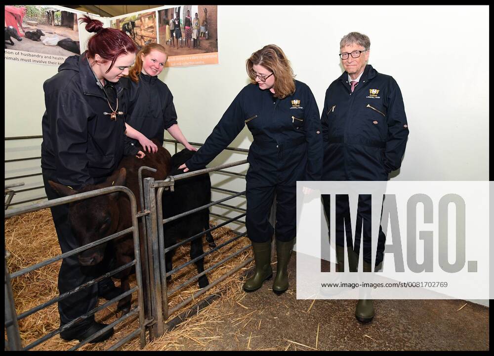 . 26 01 2018. Edinburgh, United Kingdom. Penny Mordaunt and Bill Gates Scotland visit. Secretary of State for International Development Penny Mordaunt and Bill Gates visit the University of Edinburgh to see how research paid for by UK aid is helping develop super crops for the future, able to withstand extreme droughts and floods in foreign countries. Also seeing how developing medicines can protect cows and pigs from fatal diseases. xAndrewxParsonsx xi-Imagesx IIM-16830-0021