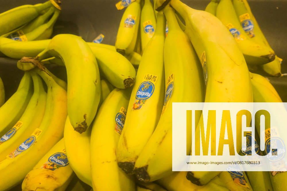Daily Life In Edmonton EDMONTON, CANADA MAY 7: A presentation of fresh bananas, in a grocery store on May 7, 2025, in Edmonton, Alberta, Canada. Edmonton Canada