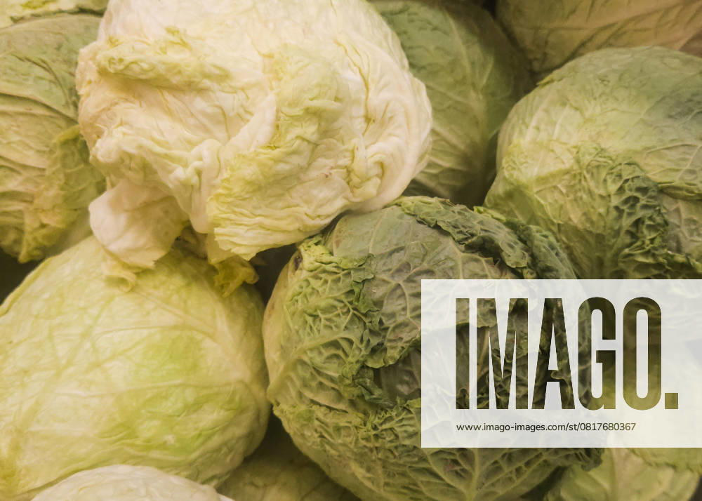 Daily Life In Edmonton EDMONTON, CANADA MAY 7: A presentation of fresh cabbage in a grocery store, photographed on May 7, 2025, in Edmonton, Alberta, Canada. Edmonton Canada