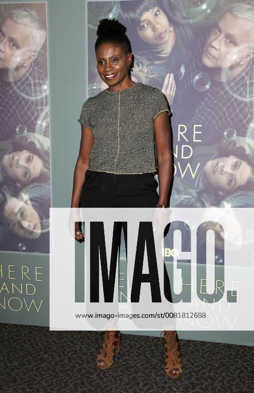 LOS ANGELES, CA - FEBRUARY 05: Adina Porter at the Here And Now Los Angeles Premiere at the DGA Lot on February 5, 2018 in Los Angeles, California.