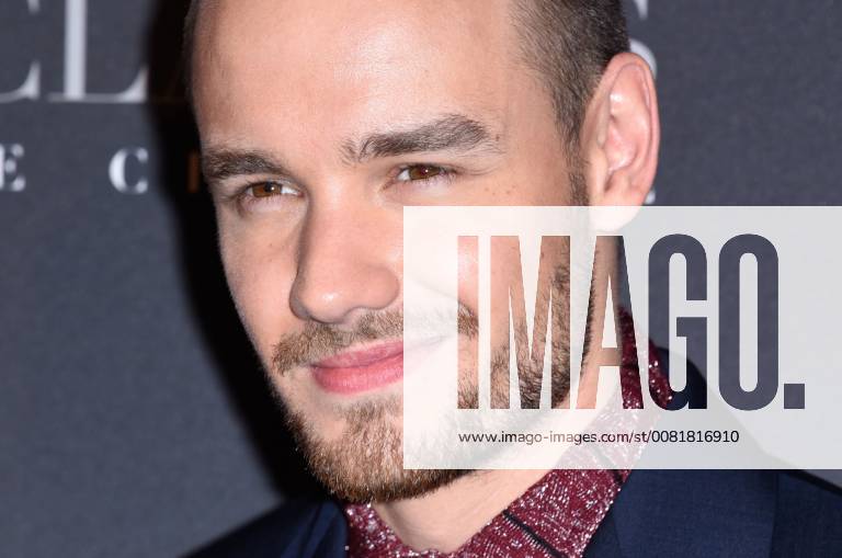Fifty Shades of Grey 3 Premiere in Paris Liam Payne ( chanteur ) lors du photocall pour l avant premiere du film 50 NUANCES PLUS CLAIRES a Paris CELEBRITES : Avant premiere du film 50 NUANCES PLUS CLAIRES - Paris - 06 02 2018 FedericoPestellini Panoramic