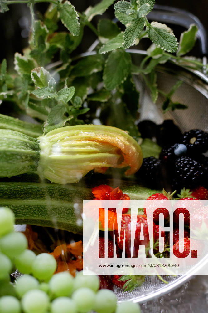 Zucchini blossom, berries, mint under water Boise, Idaho, United States R_LEROEZ250507-1716837-01