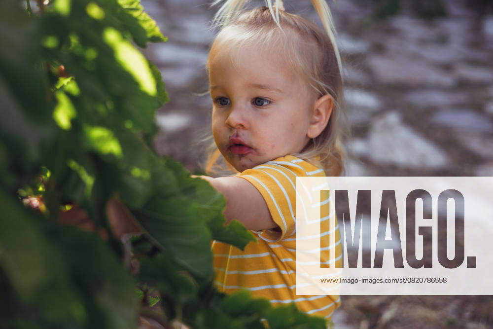 IMAGO Creative, Sommer, Sommertage im Garten Young child eat mulberries while enjoying a sunny day outdoors Antalya, Antalya, Türkiye R_BMEE250526-1744590-01 ,model released, Symbolfoto