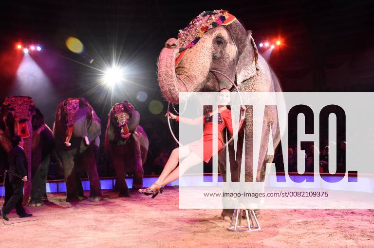 Jana Mandana Lacey-Krone bei der Premiere vom 3. Winterprogramm 2018 des Circus Krone im Kronebau. München
