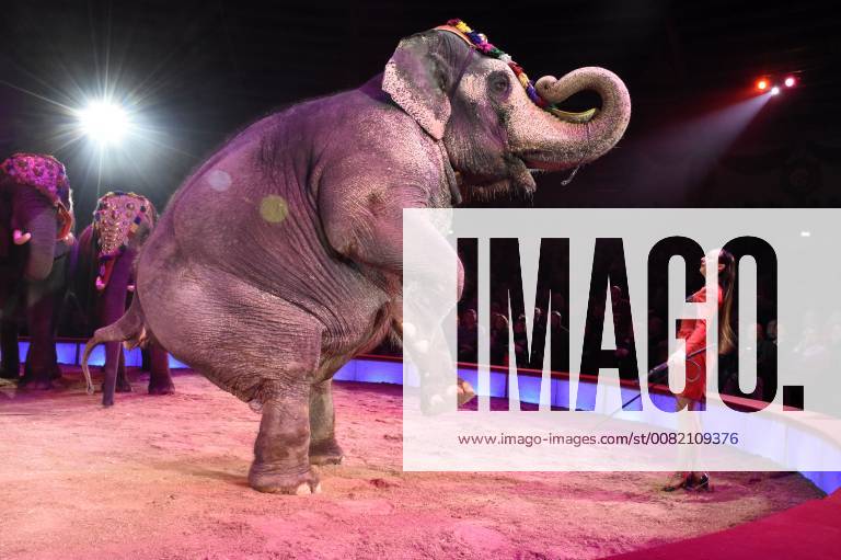 Jana Mandana Lacey-Krone bei der Premiere vom 3. Winterprogramm 2018 des Circus Krone im Kronebau. München