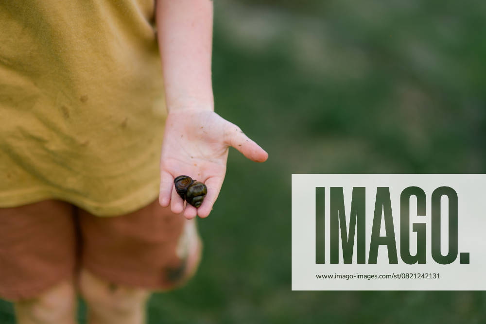 IMAGO Creative, Sommer, Sommertage im Garten Close up of muddy child holding snail in hand during spring Granger, Iowa, United States CR_LIPF250526-1741929-01 ,model released, Symbolfoto