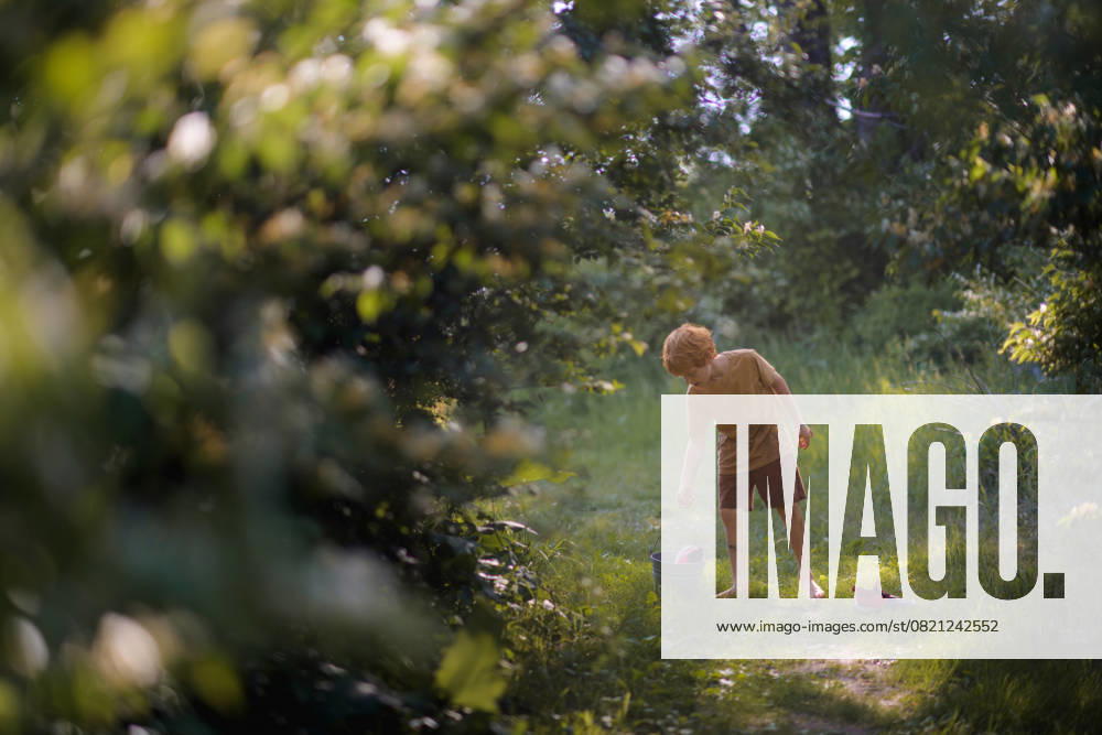IMAGO Creative, Sommer, Sommertage im Garten Young boy places shoes in bucket on trail to walk barefoot Granger, Iowa, United States CR_LIPF250526-1741953-01 ,model released, Symbolfoto