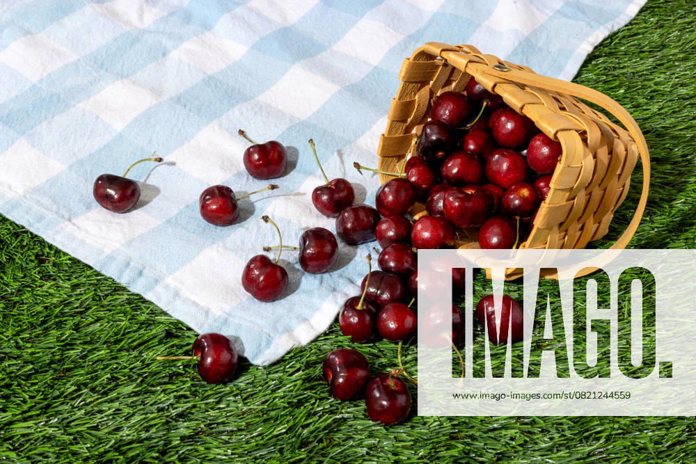 IMAGO Creative, Jahreszeit Sommer, Kirschen Spilled Basket of Fresh Cherries on Gingham Picnic Blanket Laguna Hills, California, United States R_CXKF250522-1734814-01
