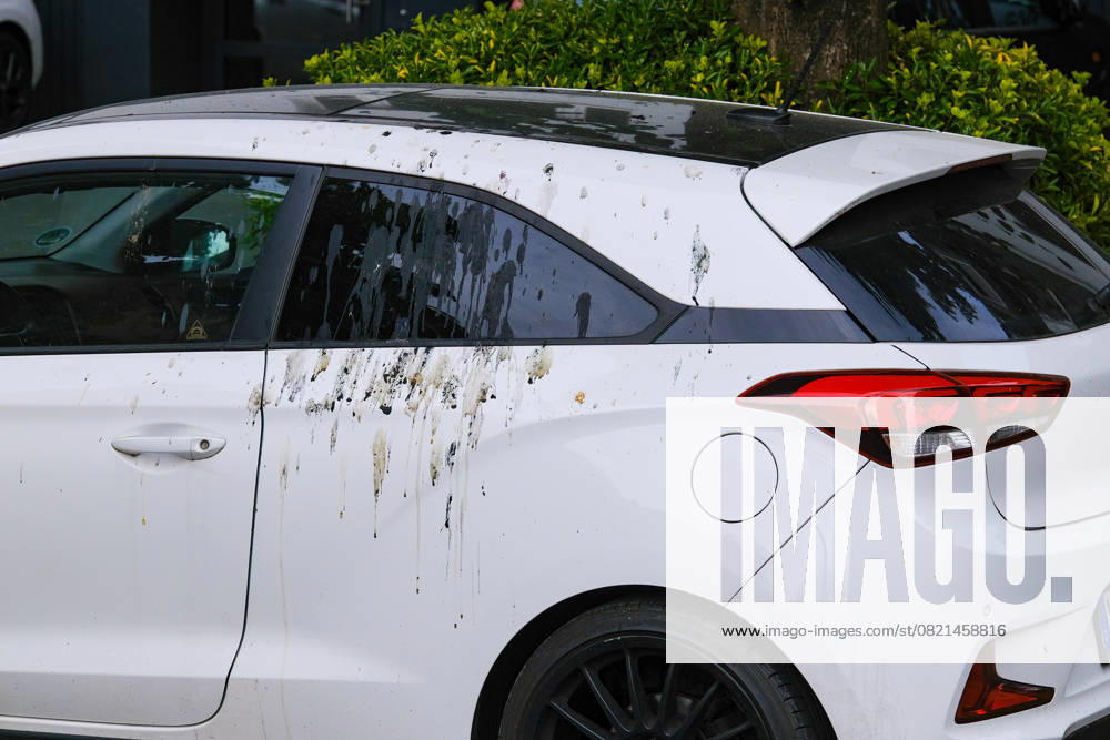 Düsseldorf 04.06.2025 Taubendreck Vogeldreck Taubenkot Vogelkot Vogelkacke Taubenkacke Baumparker Parken unter Baum Autolack Lack KFZ Auto PKW Autowäsche Waschanlage Reinigung Lackschaden Autoversicherung KFZ-Versicherung Kaskoversicherung Vollkasko Teilkasko Lackschaden Düsseldorf Nordrhein-Westfalen Deutschland