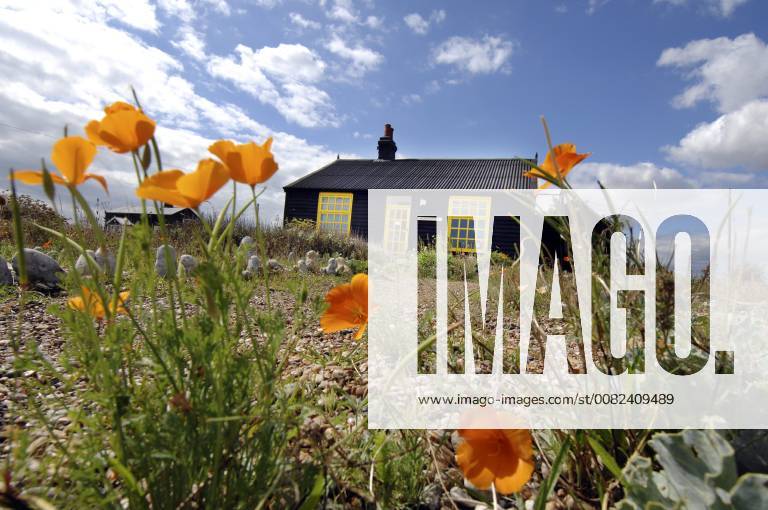 Picture by Roger Bamber: 1 September 2007 : Prospect Cottage, the former home of the late artist and film director Derek Jarman at Dungeness,on Romnet Marsh, Kent. The house and its dry shingle garden is photographed past some wild flowers,