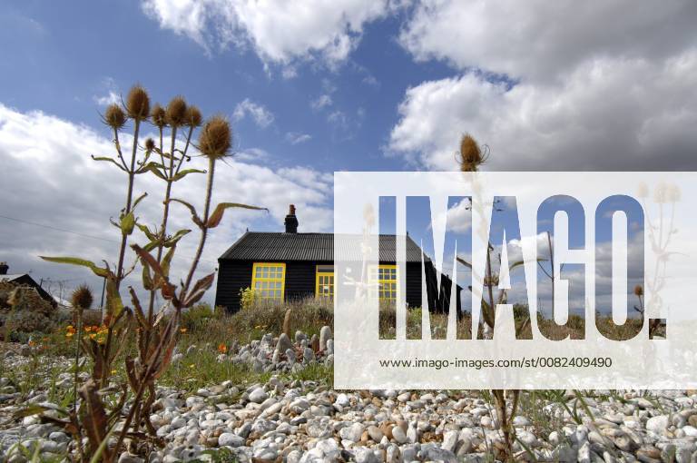Picture by Roger Bamber: 1 September 2007 : Prospect Cottage, the former home of the late artist and film director Derek Jarman at Dungeness,on Romnet Marsh, Kent. The house and its dry shingle garden is photographed through some thistles.,