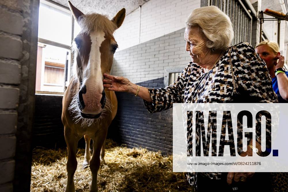 Bilder des Jahres 2025, Entertainment 07 Juli Entertainment Themen der Woche KW27 Den Haag, The Netherlands, 2025-07-05 16:11:51 THE HAGUE, 05-07-2025, Madurodam Riding SchoolPrincess Beatrix attended the 60th anniversary of the Foundation Horse Riding for the Disabled (SPG) at the Madurodam Riding School in The Hague. PHOTO: NLBeeld POOL Patrick van Katwijk Credit: NL Beeld Patrick van Emst