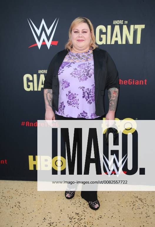 HOLLYWOOD, CA - MARCH 29: Robin Christiansen, at Los Angeles Premiere of Andre The Giant from HBO Documentaries at Pacific Cinerama Dome in Hollywood, California on March 29, 2018.