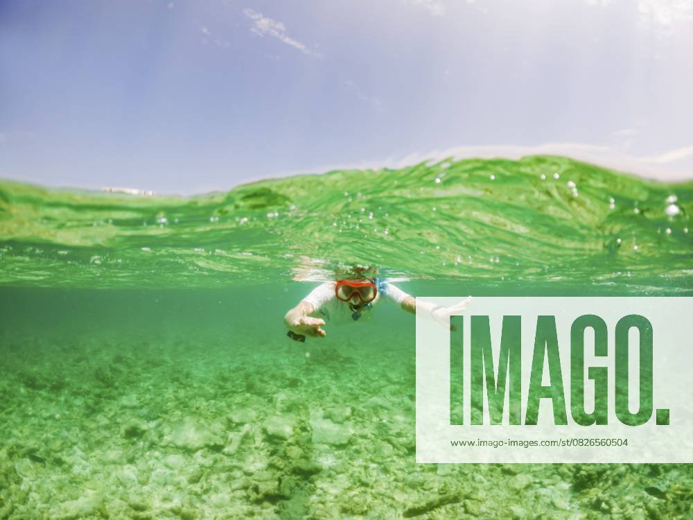 Frau beim Schnorcheln im klaren tropischen Meer Woman snorkeling in clear tropical sea