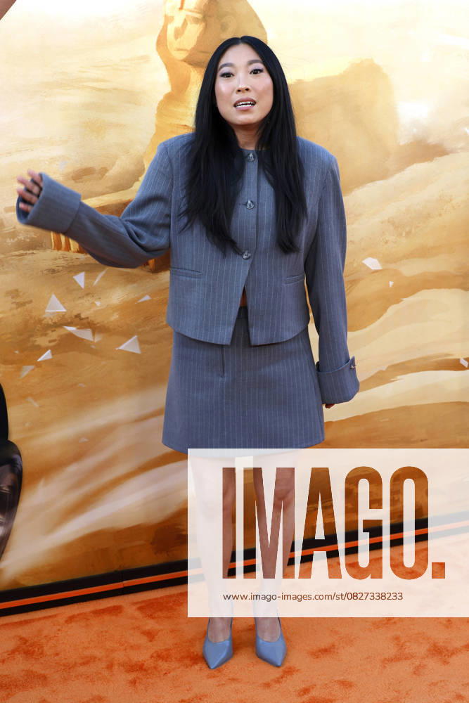 LOS ANGELES - JUL 23: Awkwafina at the The Bad Guys 2 Los Angeles Premiere at the TCL Chinese Theater IMAX on July 23, 2025 in Los Angeles, CA Los Angeles USA - ZUMAb170 20250725_aap_b170_019