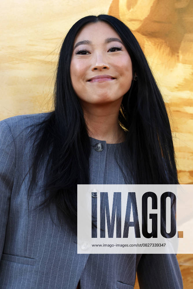LOS ANGELES - JUL 23: Awkwafina at the The Bad Guys 2 Los Angeles Premiere at the TCL Chinese Theater IMAX on July 23, 2025 in Los Angeles, CA Los Angeles USA - ZUMAnc22 20250725_zaa_nc22_013