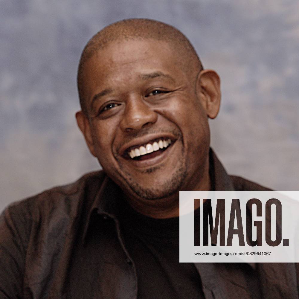 Celebrity Portraits - September 12, 2006 September 12, 2006 - Hollywood, California, U.S. - Forest Whitaker promotes his film The Last King of Scotland at the Toronto Film Festival on September 12, 2006