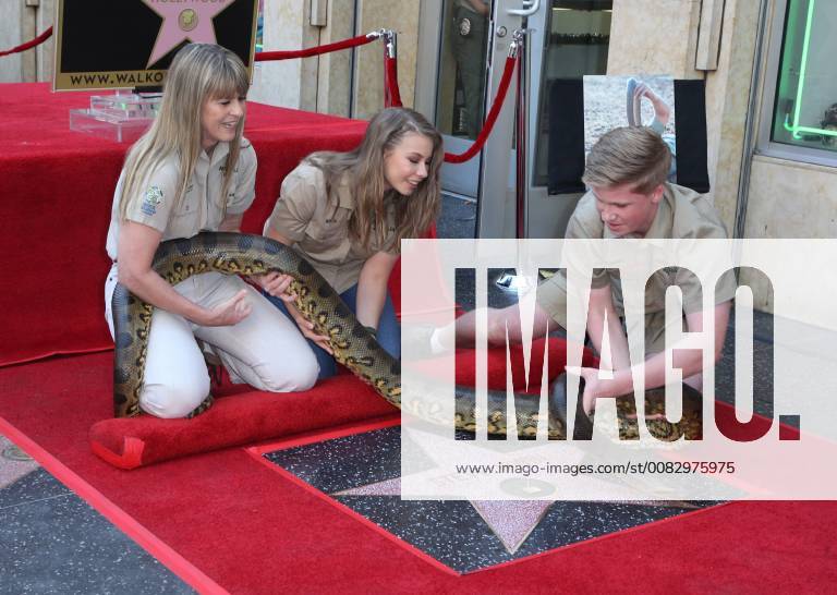 HOLLYWOOD, CA - APRIL 26: Terri Irwin, Bindi Irwin and Robert Irwin pictured as Steve Irwin is Honored With Star On The Hollywood Walk Of Fame in Hollywood, California on April 26, 2018.