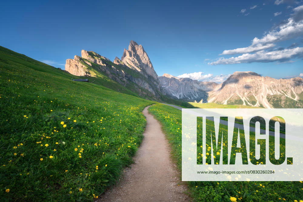 Path with vibrant wildflowers in Seceda mountain at sunset in summer. Dolomites, Italy. Colorful landscape with mountain peaks, alpine meadows, trail, green grass, yellow flowers, blue sky. Hiking Model Released DenisBilytskyi_ID30359_1024615_017