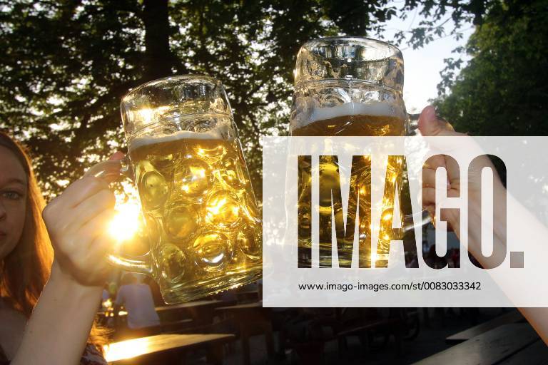 Zuprosten mit zwei Maßkrügen Bier in der Abendsonne eines warmen Frühlingstag im Biergarten Königlicher Hirschgarten in München, Bayern, Deutschland