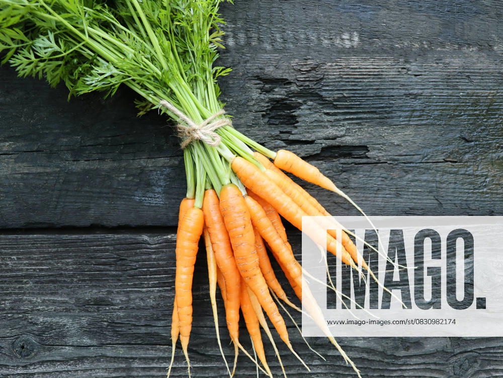 Frische Möhren auf einer Holztafel mit Messer und Schneidebrett. Fresh carrots on a wooden blackboard with knife and cutting board. (License=RF)