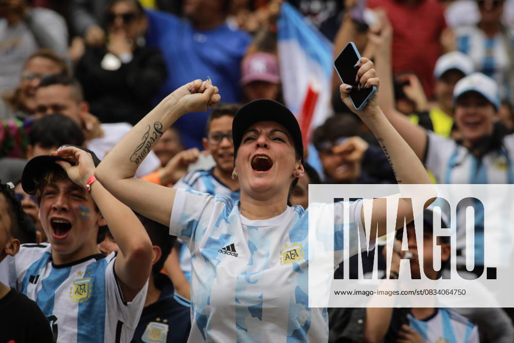 Argentina v France: Final - FIFA World Cup Qatar 2022 BOGOTA, COLOMBIA - DECEMBER 18: Fans supporting Argentina, and France gather to follow the FIFA World Cup 2022 Final at Nemesio Camacho El Campin Stadium in Bogota, Colombia on December 18, 2022. Colombia World. Editorial use only. Please get in touch for any other usage.