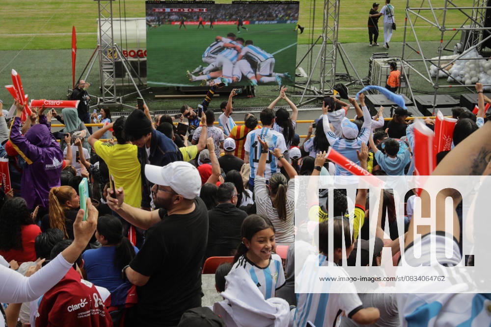 Argentina v France: Final - FIFA World Cup Qatar 2022 BOGOTA, COLOMBIA - DECEMBER 18: Fans supporting Argentina, and France gather to follow the FIFA World Cup 2022 Final at Nemesio Camacho El Campin Stadium in Bogota, Colombia on December 18, 2022. Colombia World. Editorial use only. Please get in touch for any other usage.