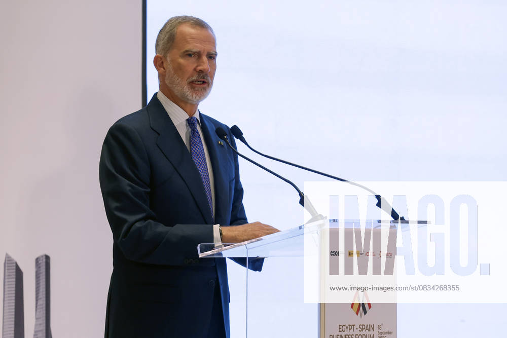 Spain s King, Felipe VI (c), delivers a speech during a Spanish and Egyptian business forum held in the framework of his visit in the country in Cairo, Egypt, 18 September 2025. Spain s King Felip VI visits Egypt !ACHTUNG: NUR REDAKTIONELLE NUTZUNG!