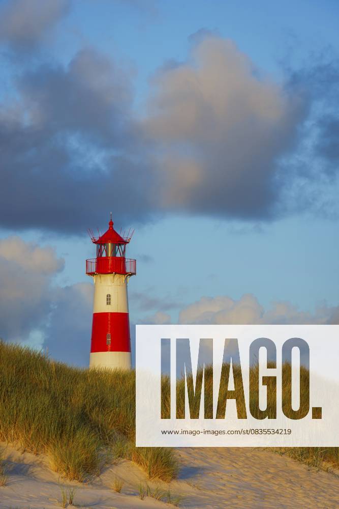 Der Lister Leuchtturm am Ellenbogen, Morgenlicht, Morgenstimmung, Düne, Nordseeinsel, Sylt The Lister lighthouse at Ellenbogen, morning light, morning mood, dune, North Sea island, Sylt