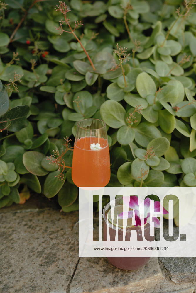 IMAGO Creative, Lifestyle, Feste im Garten #2 Colorful cocktails garnished with flowers and lime San Diego, California, United States R_QCYJ251004-1809593-01