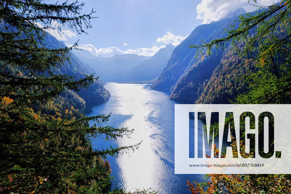Schönau a. Königsse, Deutschland 15. 10 2025: Im Bild: Blick auf den Königssee im Nationalpark Berchtesgaden mit Sonnenreflexion auf dem Wasser und herbstlich gefärbten Wäldern an den steilen Berghängen. Der fjordartige Gebirgssee zählt zu den bekanntesten Naturmotiven der bayerischen Alpen und steht für unberührte Landschaft und Naturschutz. Symbolbild für Tourismus, Natur und Umwelt. Bayern