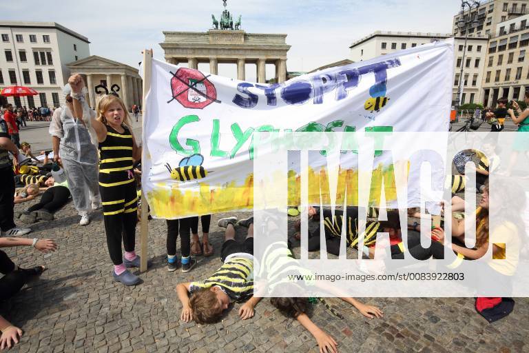 Mit einer Performance vor dem Brandenburger Tor haben Berliner Schueler am Donnerstag (21.06.18) gegen das Bienensterben protestiert. Als Bienen verkleidet schwaermten etwa 100 Erst- bis Sechsklaessler der Evangelischen Schule Friedrichshain ueber den Pariser Platz, bis sie symbolisch mit Glyphosat bespritzt wurden und daran starben . (Siehe epd-Meldung vom 21.06.18) Schueler demonstrieren in Berlin gegen Bienensterben