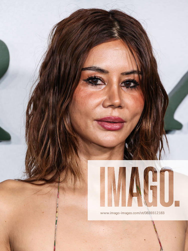 Los Angeles Premiere Of Netflix s Train Dreams HOLLYWOOD, LOS ANGELES, CALIFORNIA, USA - NOVEMBER 03: Australian-born stylist and fashion director at Vogue Australia Christine Centenera arrives at the Los Angeles Premiere Of Netflix s Train Dreams held at The Egyptian Theatre Hollywood on November 3, 2025 in Hollywood, Los Angeles, California, United States., Credit:Xavier Collin Avalon United States, California, Hollywood, The Egyptian Theatre Hollywood