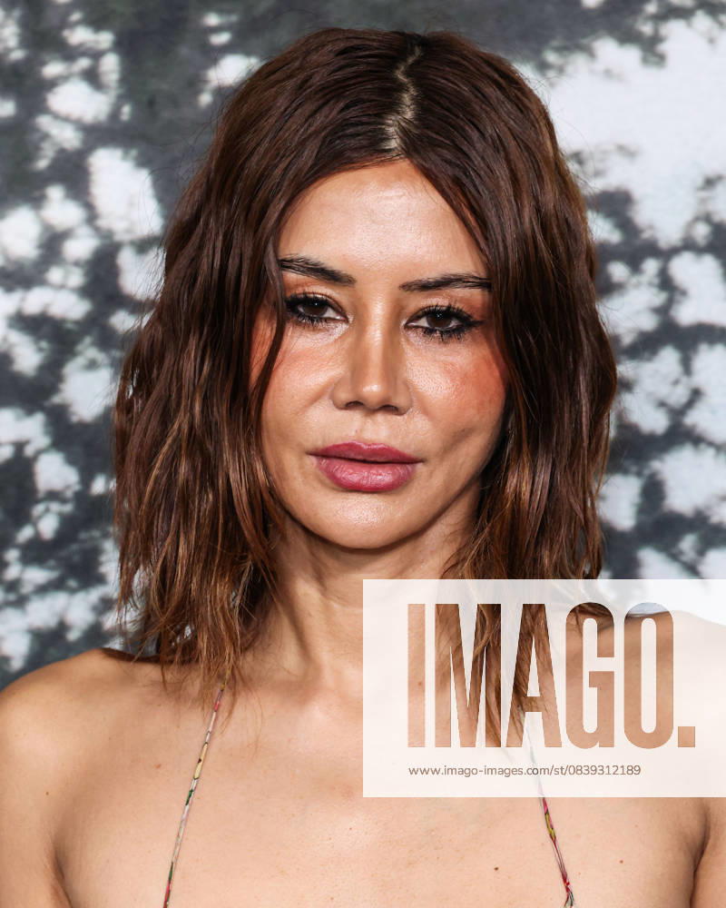Los Angeles Premiere Of Netflix s Train Dreams HOLLYWOOD, LOS ANGELES, CALIFORNIA, USA - NOVEMBER 03: Australian-born stylist and fashion director at Vogue Australia Christine Centenera arrives at the Los Angeles Premiere Of Netflix s Train Dreams held at The Egyptian Theatre Hollywood on November 3, 2025 in Hollywood, Los Angeles, California, United States., Credit:Xavier Collin Avalon United States, California, Hollywood, The Egyptian Theatre Hollywood