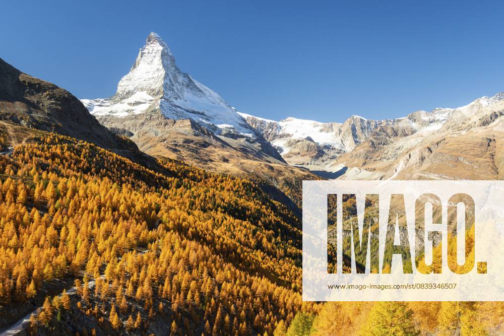 Matterhorn und gelbgoldene Lärchen im Herbst an sonnigen Tagen. Farben des Herbstes. Schweizer Alpen. Wallis, Schweiz Matterhorn Mountain and Yellow Golden Larches in Autumn on Sunny Day. Fall Colors. Swiss Alps. Valais, Switzerland