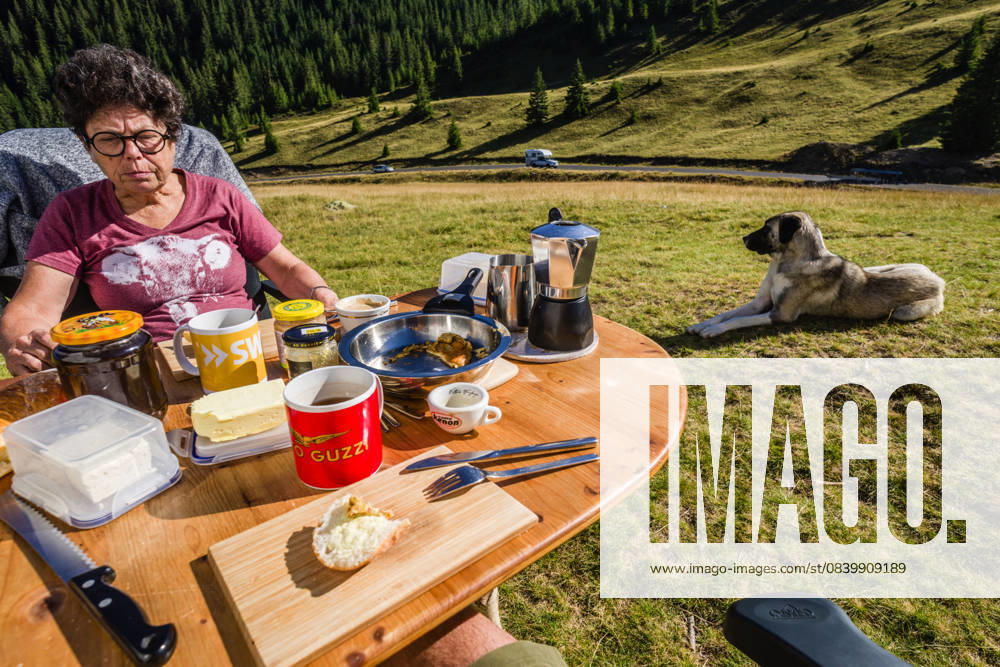 Ein Hund steht auf einer Wiese neben einem gedeckten Campingtisch an dem eine Frau beim Frühstück sitzt. Siebenbürgen, Transilvanien, Karpaten, Rumänien. Mit einem Campervan und Hund unterwegs